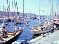 Yatchs in the Marina, St. Tropez