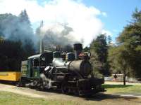 Heisler at Roaring Camp and Big Trees railway, Santa Cruz.