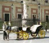 Horse Drawn Taxis, Plaza San Sebastian, Seville.