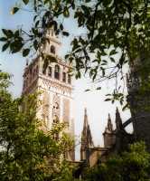 La Giralda Tower, Seville Cathedral.